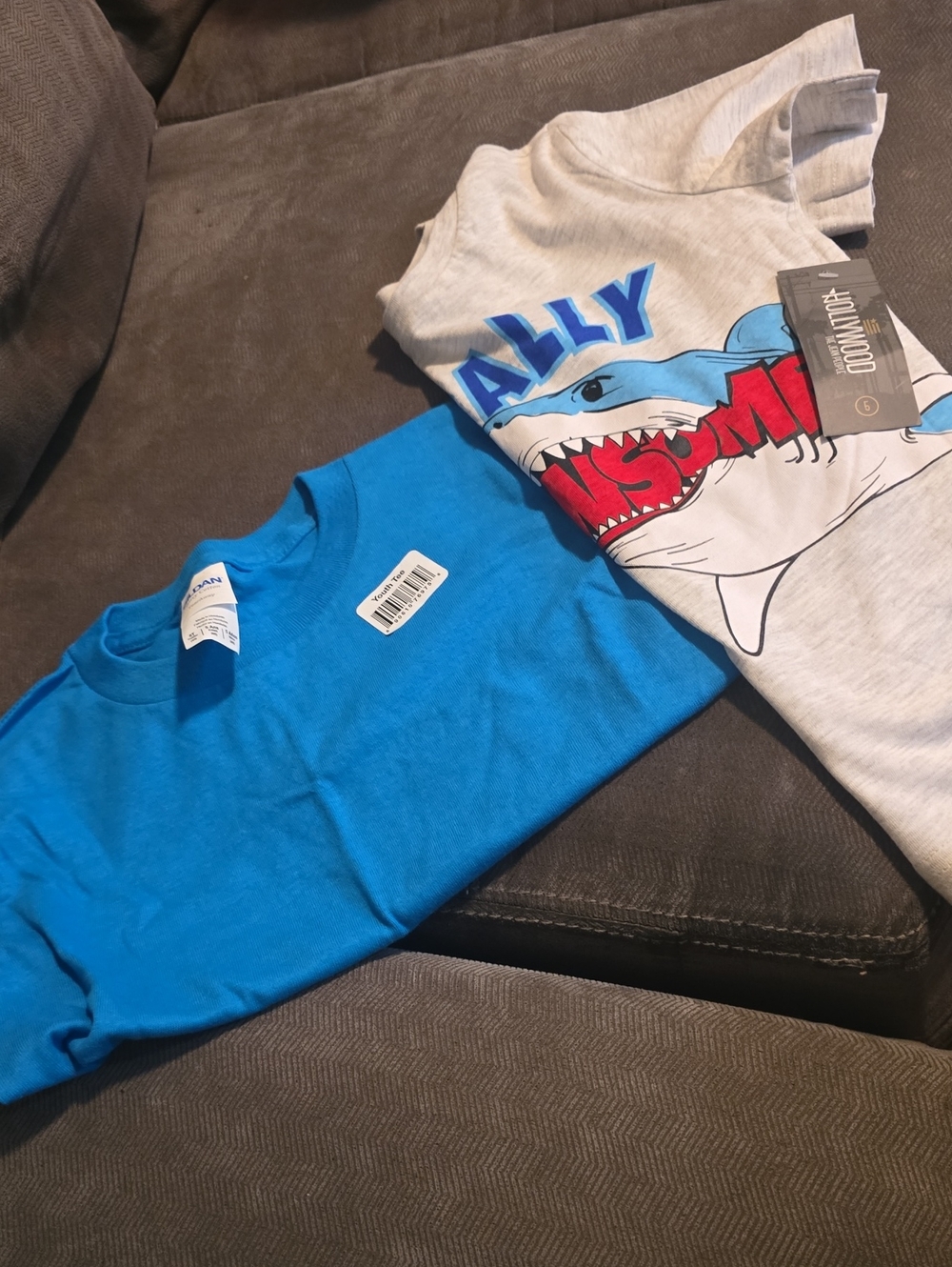 Kids Short Sleeve Shark Graphic Tee & Solid Tee - Blue & Light Gray